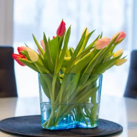 River House Anttila * Рованиеми