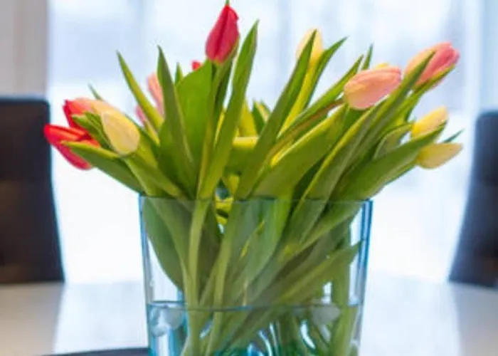 River House Anttila * Ροβανιέμι